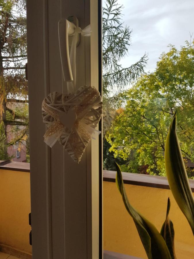 Mieszkanie W Centrum Krakowa Dış mekan fotoğraf